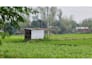 provide natural village videos